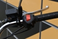 DSC_7521.jpg